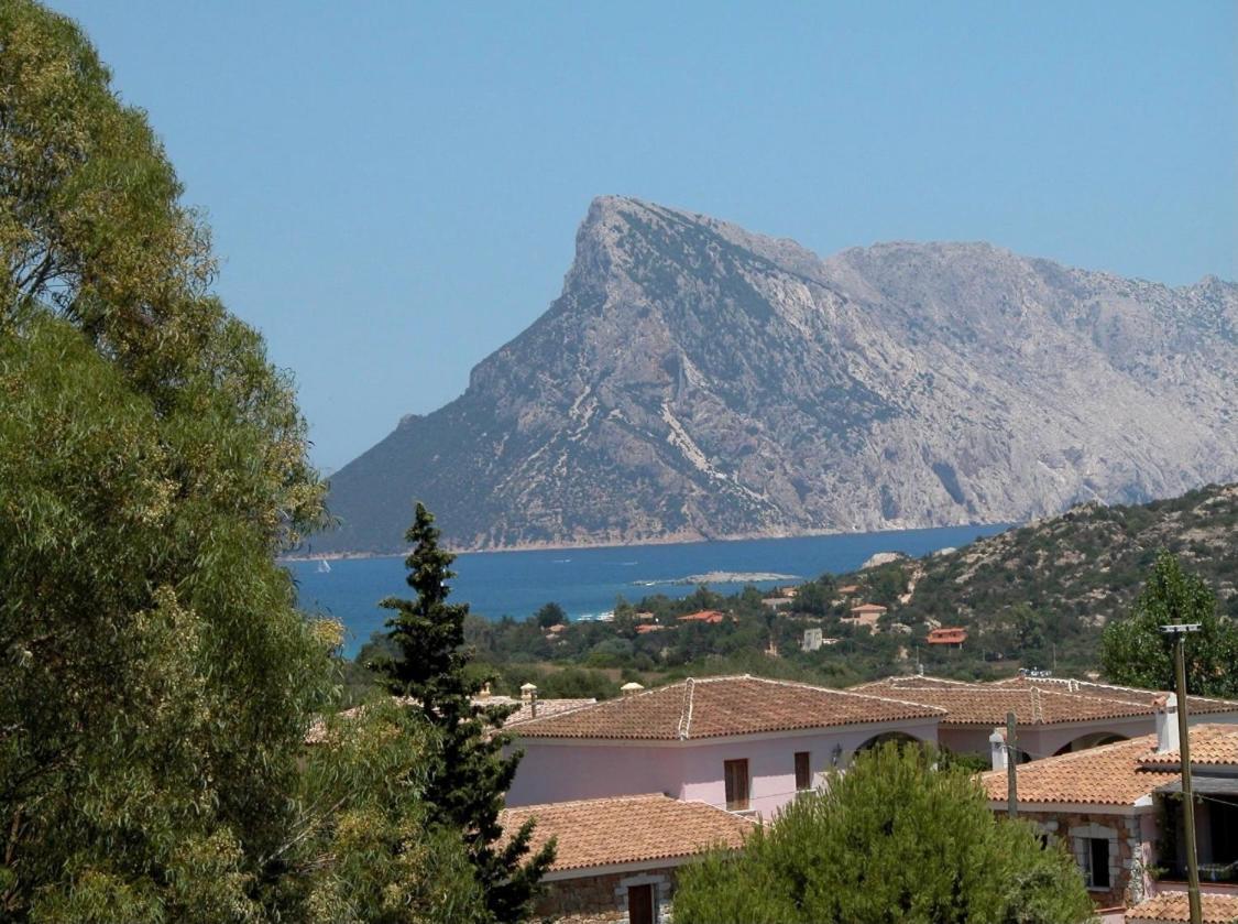 Residence Agrifoglio Monte Petrosu Exterior photo