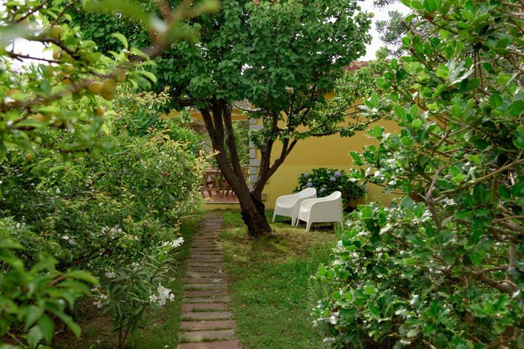 Residence Agrifoglio Monte Petrosu Exterior photo